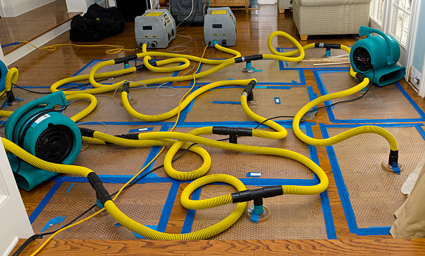 Professional Crawl Space Water Removal technician working in Fulshear, TX